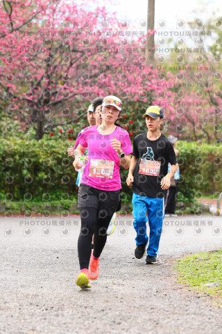 2026左岸竹東櫻花馬拉松Zhudong Sakura Marathon