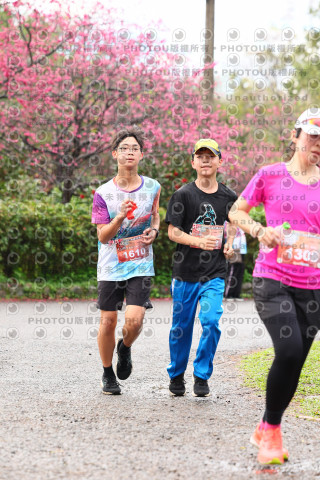 2026左岸竹東櫻花馬拉松Zhudong Sakura Marathon