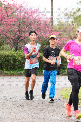 2026左岸竹東櫻花馬拉松Zhudong Sakura Marathon