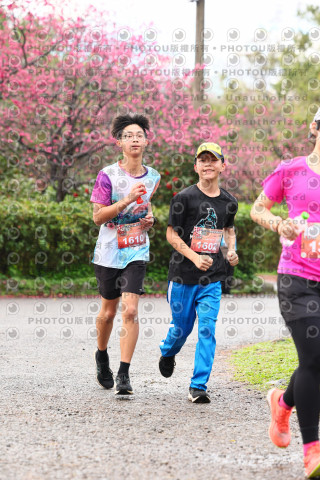 2026左岸竹東櫻花馬拉松Zhudong Sakura Marathon