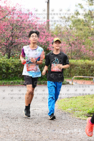 2026左岸竹東櫻花馬拉松Zhudong Sakura Marathon
