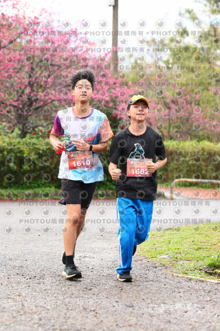 2026左岸竹東櫻花馬拉松Zhudong Sakura Marathon