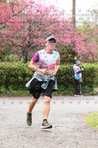 2026左岸竹東櫻花馬拉松Zhudong Sakura Marathon
