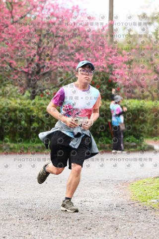 2026左岸竹東櫻花馬拉松Zhudong Sakura Marathon