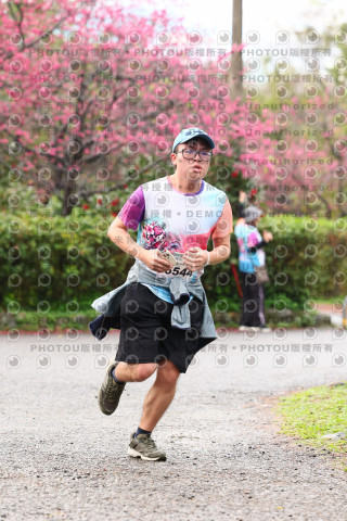 2026左岸竹東櫻花馬拉松Zhudong Sakura Marathon