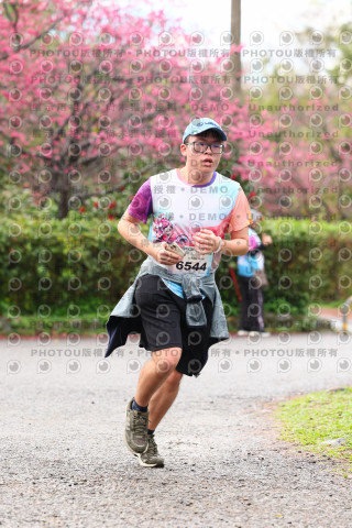 2026左岸竹東櫻花馬拉松Zhudong Sakura Marathon