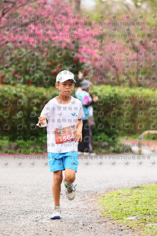 2026左岸竹東櫻花馬拉松Zhudong Sakura Marathon