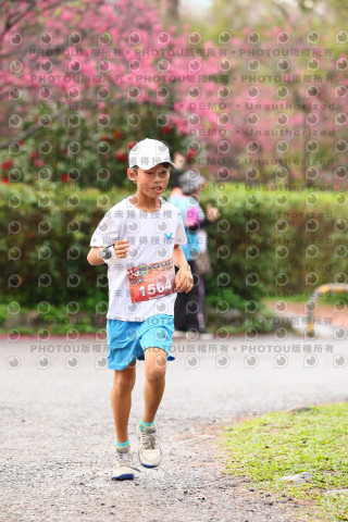 2026左岸竹東櫻花馬拉松Zhudong Sakura Marathon