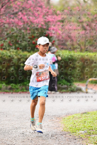 2026左岸竹東櫻花馬拉松Zhudong Sakura Marathon