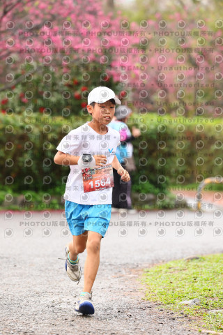 2026左岸竹東櫻花馬拉松Zhudong Sakura Marathon