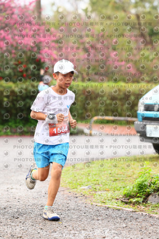 2026左岸竹東櫻花馬拉松Zhudong Sakura Marathon