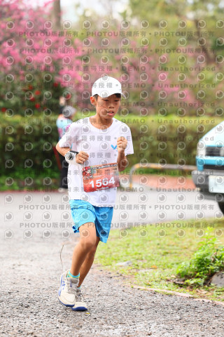 2026左岸竹東櫻花馬拉松Zhudong Sakura Marathon