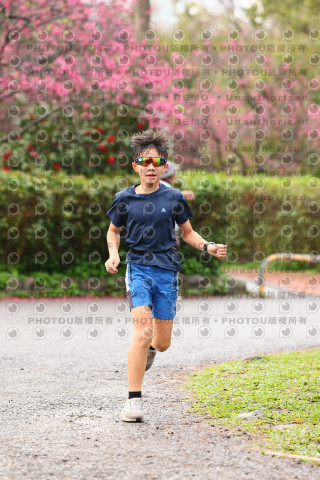 2026左岸竹東櫻花馬拉松Zhudong Sakura Marathon