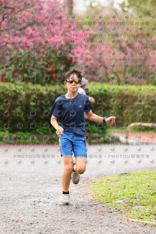 2026左岸竹東櫻花馬拉松Zhudong Sakura Marathon