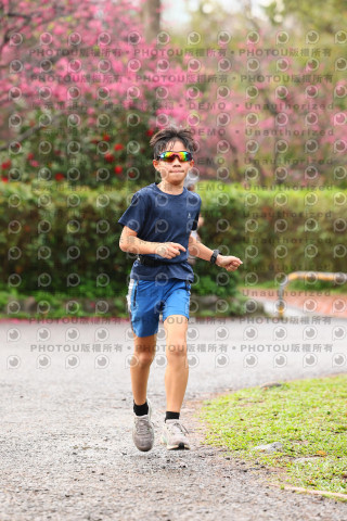 2026左岸竹東櫻花馬拉松Zhudong Sakura Marathon