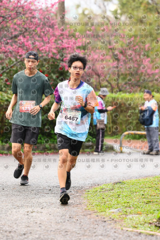 2026左岸竹東櫻花馬拉松Zhudong Sakura Marathon