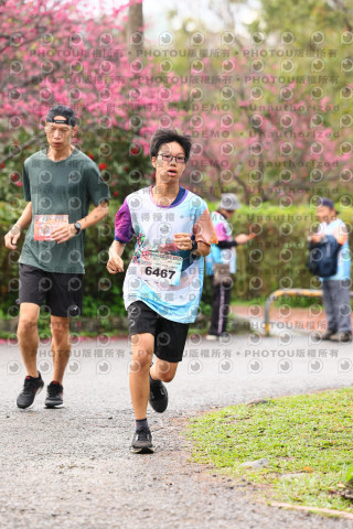 2026左岸竹東櫻花馬拉松Zhudong Sakura Marathon