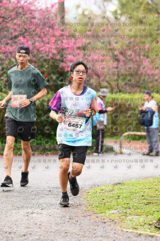 2026左岸竹東櫻花馬拉松Zhudong Sakura Marathon