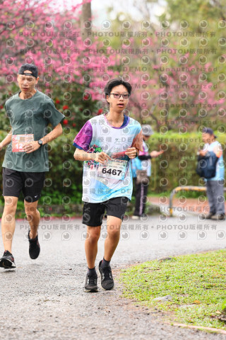 2026左岸竹東櫻花馬拉松Zhudong Sakura Marathon
