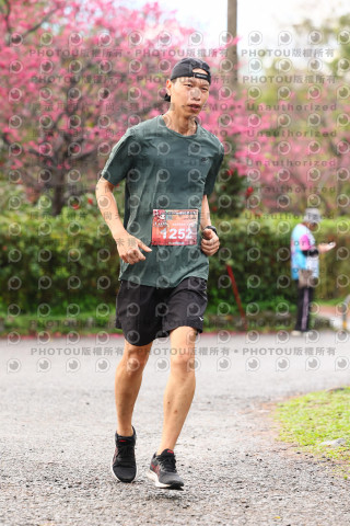 2026左岸竹東櫻花馬拉松Zhudong Sakura Marathon
