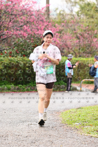 2026左岸竹東櫻花馬拉松Zhudong Sakura Marathon