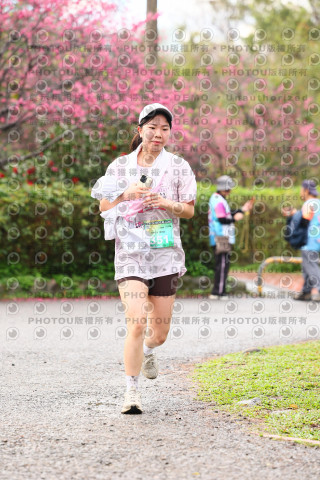 2026左岸竹東櫻花馬拉松Zhudong Sakura Marathon