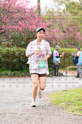 2026左岸竹東櫻花馬拉松Zhudong Sakura Marathon