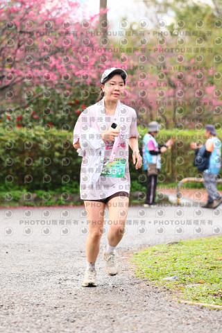2026左岸竹東櫻花馬拉松Zhudong Sakura Marathon