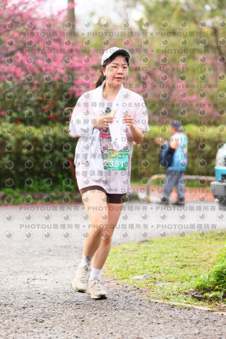2026左岸竹東櫻花馬拉松Zhudong Sakura Marathon