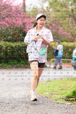 2026左岸竹東櫻花馬拉松Zhudong Sakura Marathon