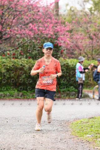 2026左岸竹東櫻花馬拉松Zhudong Sakura Marathon