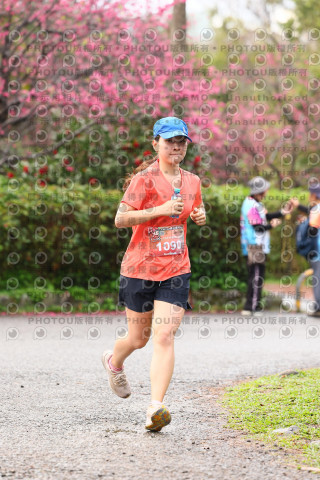 2026左岸竹東櫻花馬拉松Zhudong Sakura Marathon