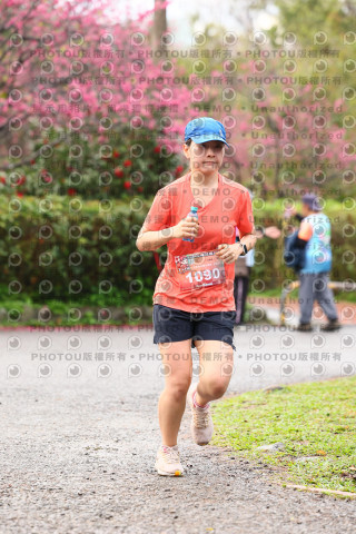 2026左岸竹東櫻花馬拉松Zhudong Sakura Marathon