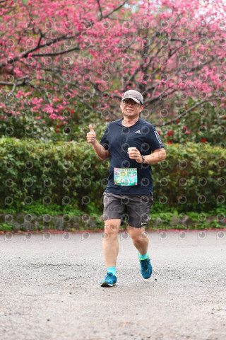 2026左岸竹東櫻花馬拉松Zhudong Sakura Marathon