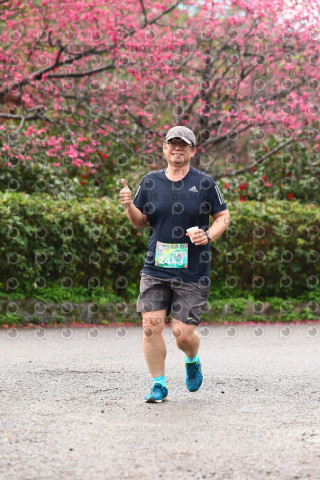 2026左岸竹東櫻花馬拉松Zhudong Sakura Marathon