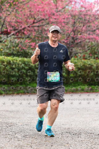 2026左岸竹東櫻花馬拉松Zhudong Sakura Marathon