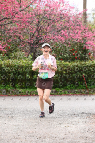 2026左岸竹東櫻花馬拉松Zhudong Sakura Marathon