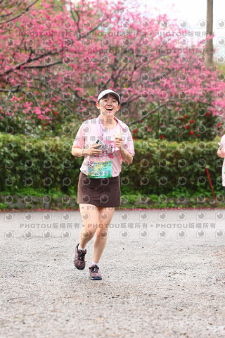 2026左岸竹東櫻花馬拉松Zhudong Sakura Marathon