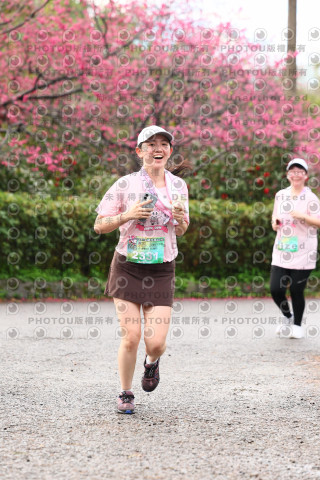 2026左岸竹東櫻花馬拉松Zhudong Sakura Marathon