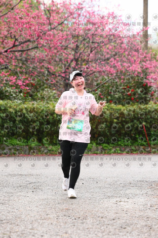 2026左岸竹東櫻花馬拉松Zhudong Sakura Marathon