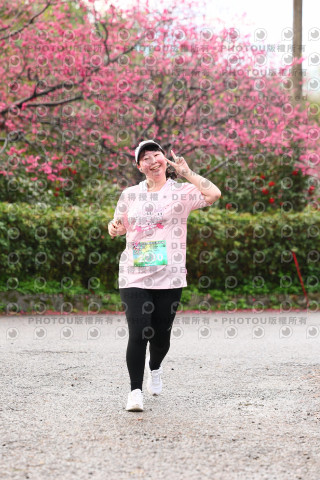 2026左岸竹東櫻花馬拉松Zhudong Sakura Marathon