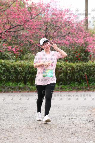 2026左岸竹東櫻花馬拉松Zhudong Sakura Marathon