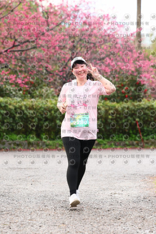 2026左岸竹東櫻花馬拉松Zhudong Sakura Marathon