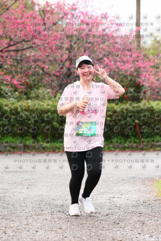 2026左岸竹東櫻花馬拉松Zhudong Sakura Marathon