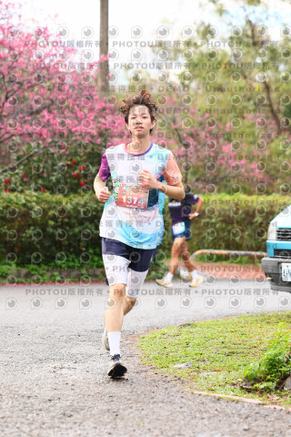 2026左岸竹東櫻花馬拉松Zhudong Sakura Marathon