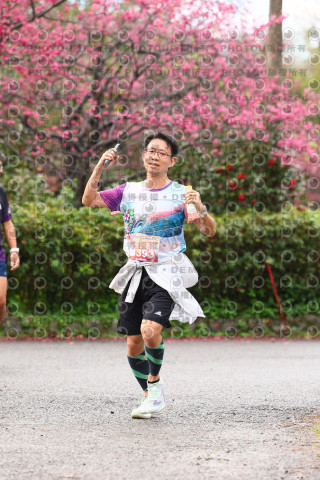 2026左岸竹東櫻花馬拉松Zhudong Sakura Marathon