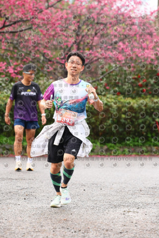 2026左岸竹東櫻花馬拉松Zhudong Sakura Marathon