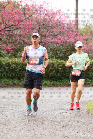 2026左岸竹東櫻花馬拉松Zhudong Sakura Marathon