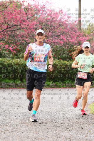 2026左岸竹東櫻花馬拉松Zhudong Sakura Marathon