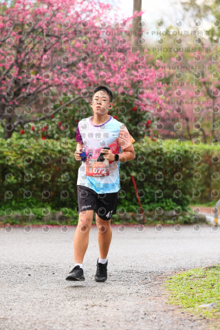 2026左岸竹東櫻花馬拉松Zhudong Sakura Marathon